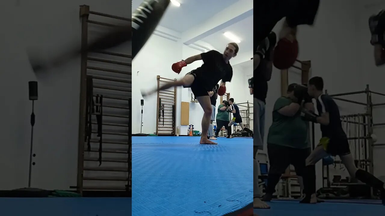 Kick, punch, Elbow and Knee The Bag (35)