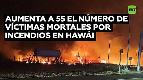 Sube a 55 el número de muertos por los incendios forestales en Hawái