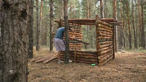 A jungle shelter in the jungle, fried eggs with sausage9