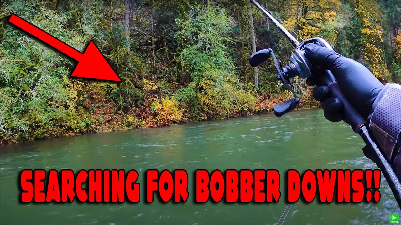 Catch, Clean, & CURE! Can We GET Some BOBBER DOWNS?!