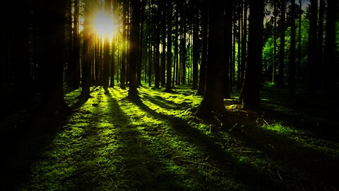 Guide meditation, regulate breathing, the environment of nature👂