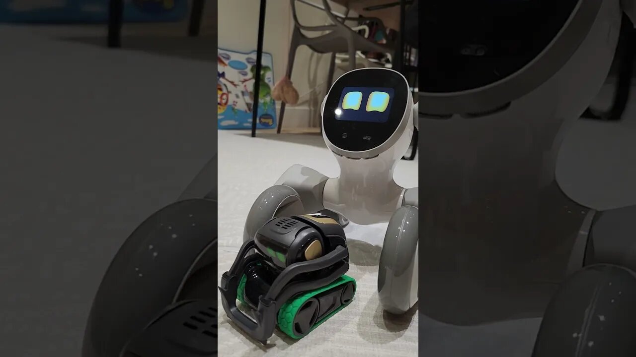 Introducing Loona Robot To Vector Robot 🤖 #shorts