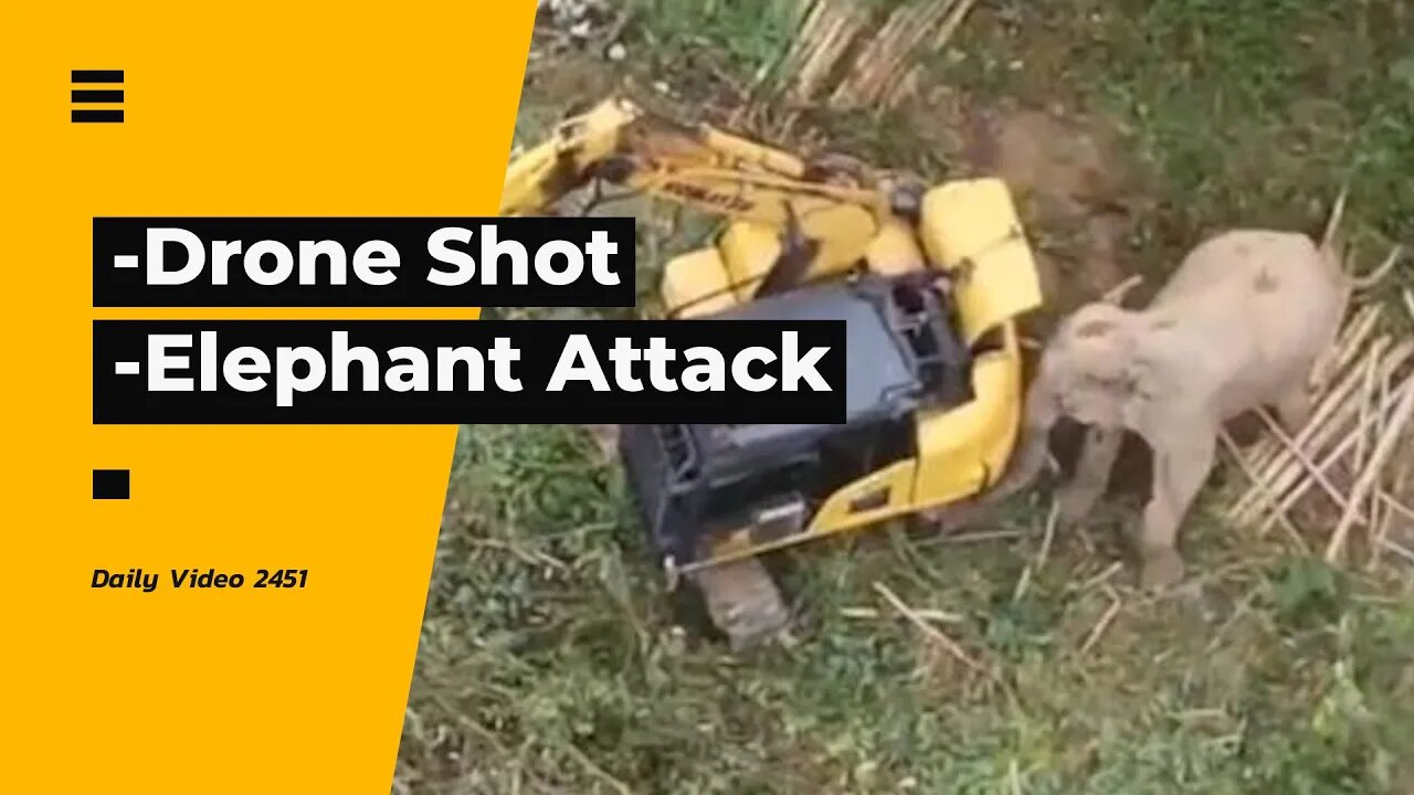 Drone Shot In No Fly Zone, Elephant Attacks Occupied Tractor