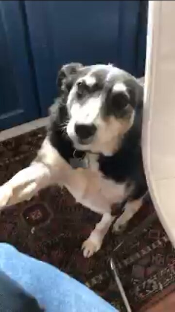 Don’t Ignore Your Friend