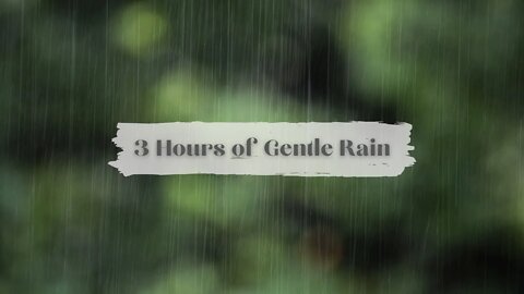 Relaxing Rain Sound for Sleeping (3 Hours) | Gentle Rain | Nature Sound