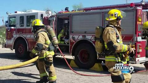 Pet bird dies in kitchen fire