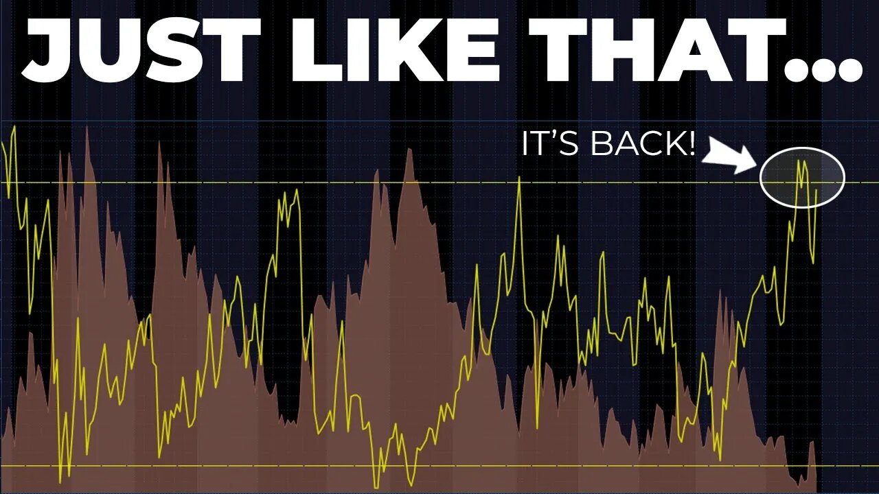 What Just Happened To The Stock Market?!