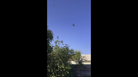 United States freedom flying in Arizona