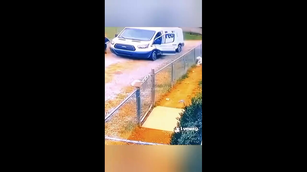 Dog vs FedEx employee 😂😂