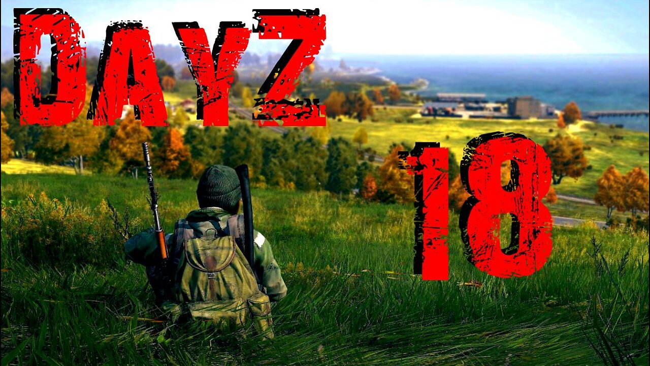 DayZ #18