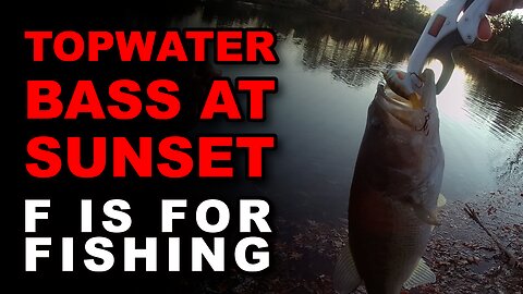 Topwater Bass at Sunset