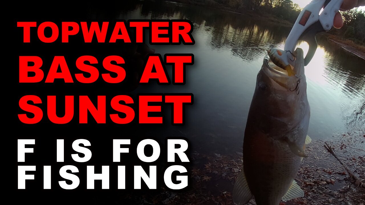 Topwater Bass at Sunset