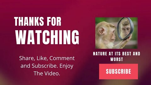 Nature At Its Best and Worst