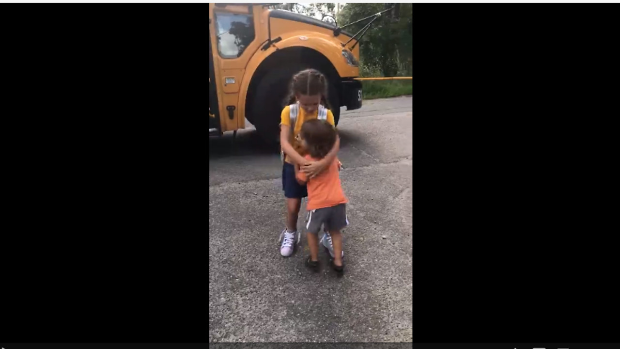 Cute kid hugs sister when she gets off school bus