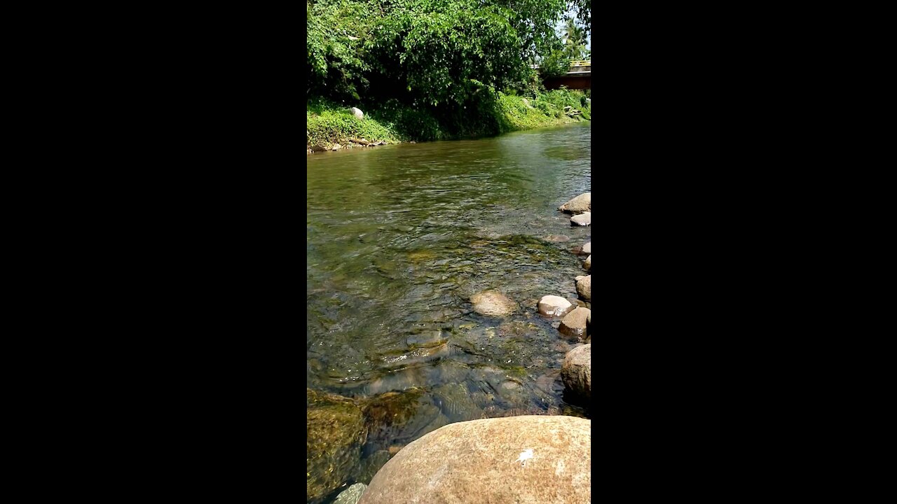 Hampstead River in Dominica