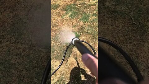 #hand #water #tahoma 31 #bermuda #grass #viral #shortvideo #lawncare #new #sod #landscaping #green