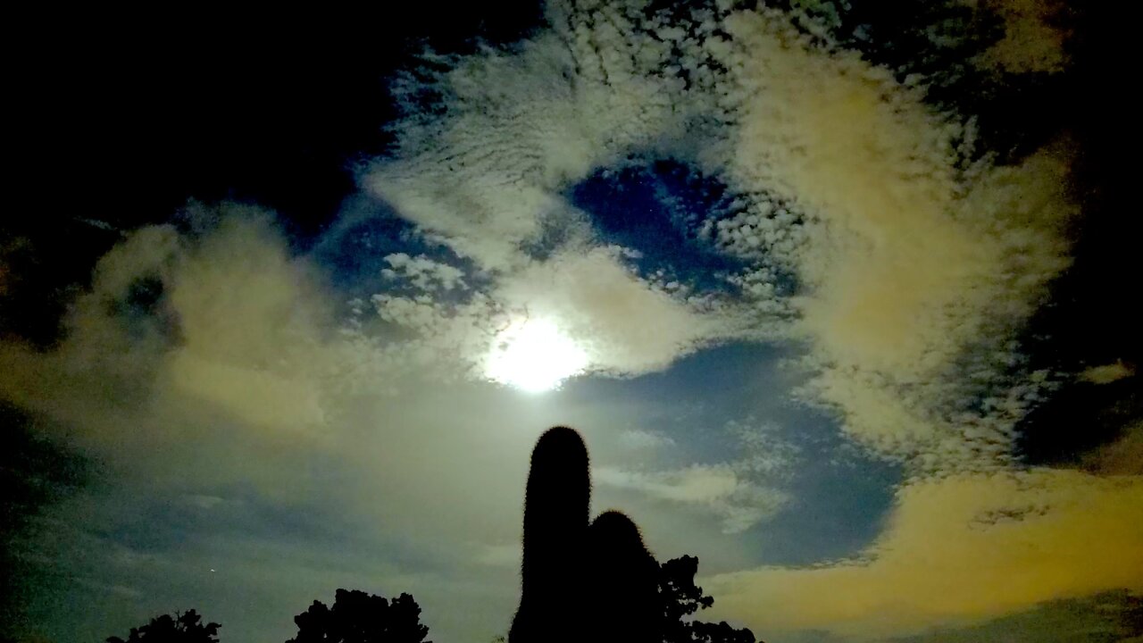 Moon over Cactus, Phoenix AZ Aug 10 2022