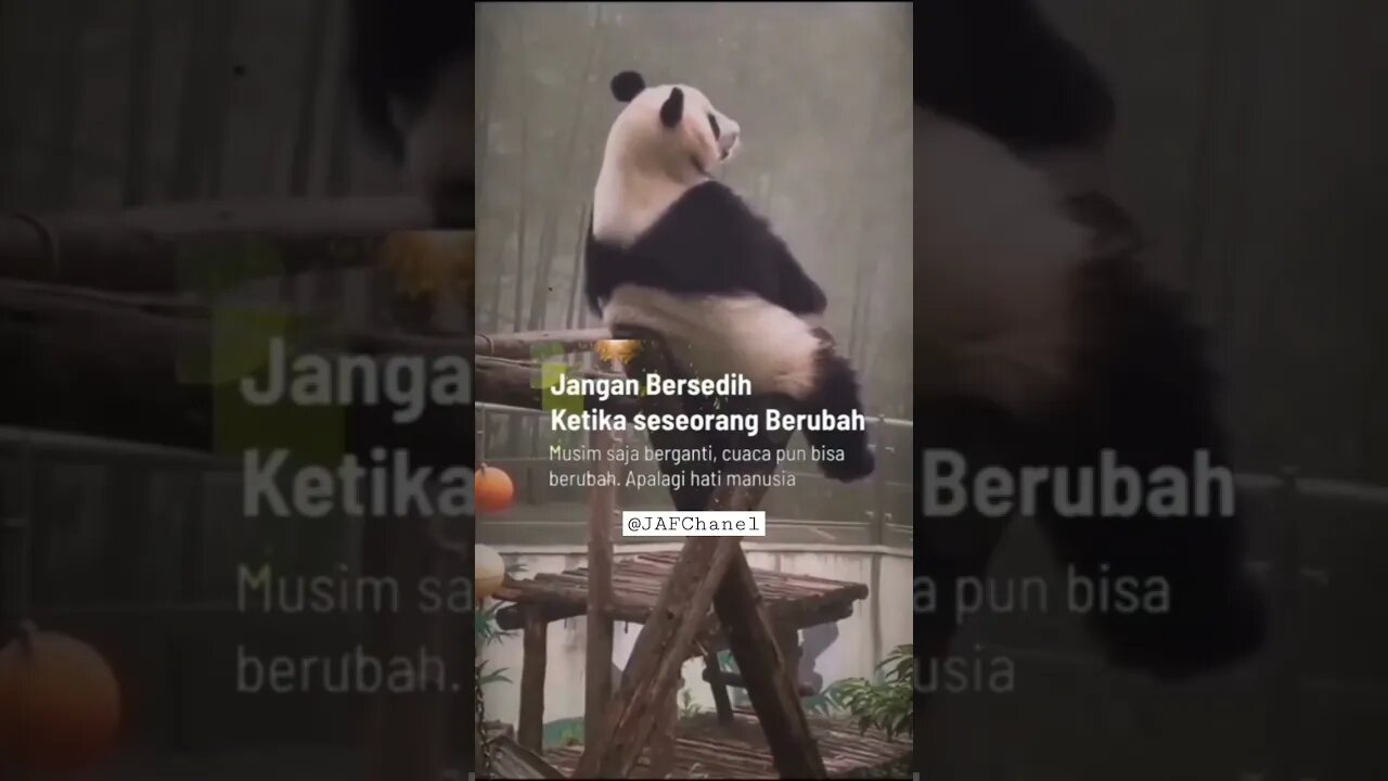 Kata Bijak Kehidupan