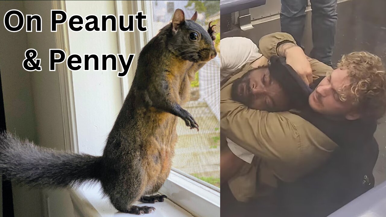 Peanut The Squirrel And Anarchotyranny. A Few Words On Daniel Penny