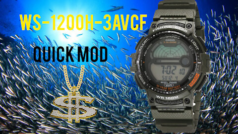 Modifying my Casio