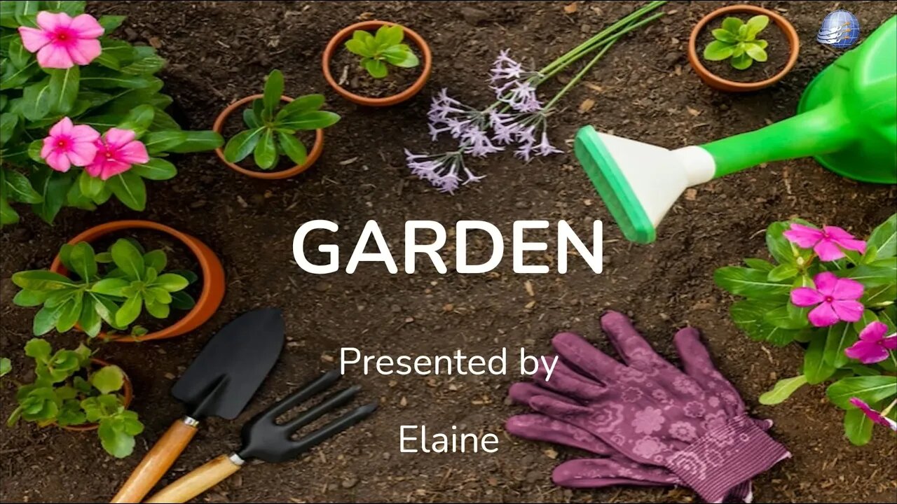 Aunt Elaine : Childrens Story : Garden