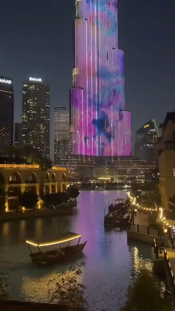 Chase Your Dreams 💰