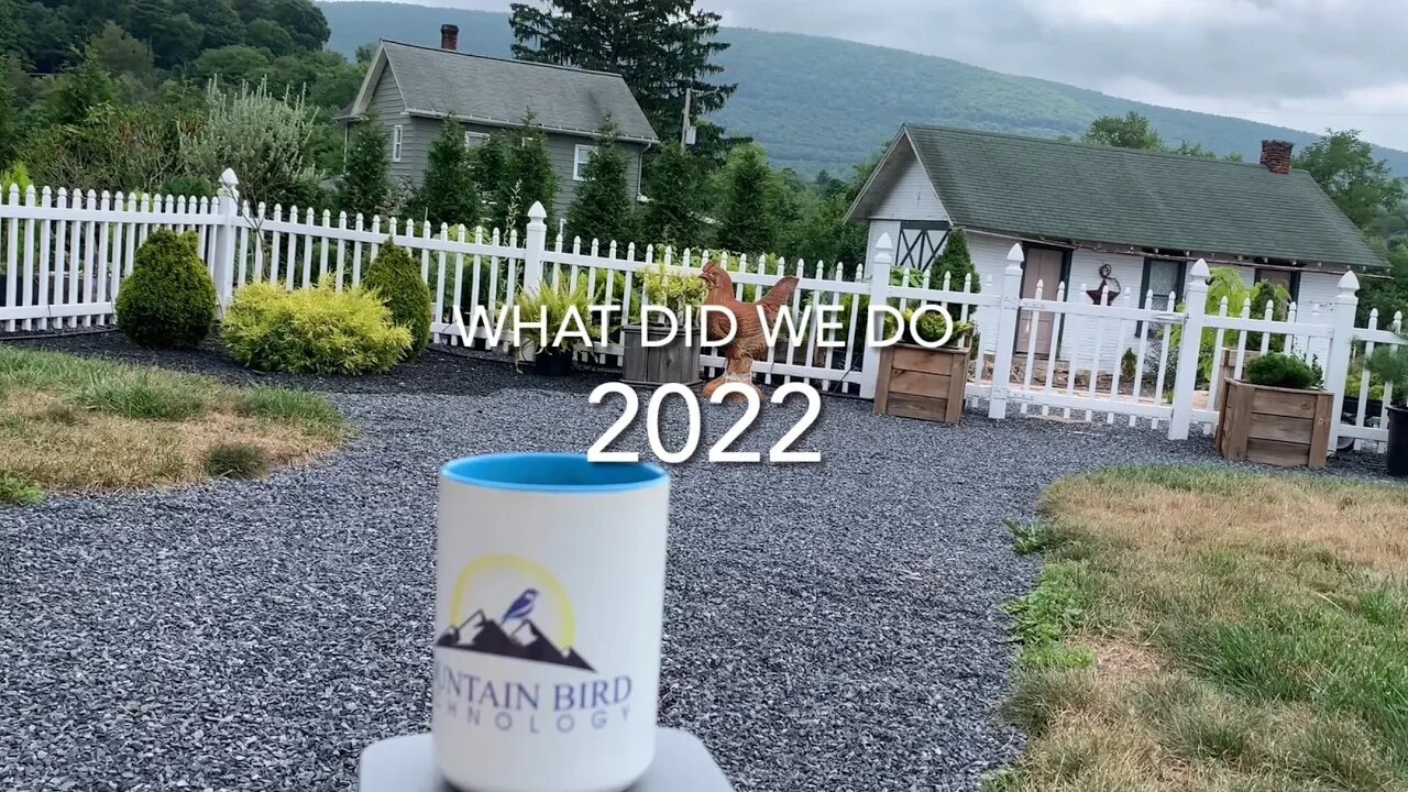 In the Year of 2022