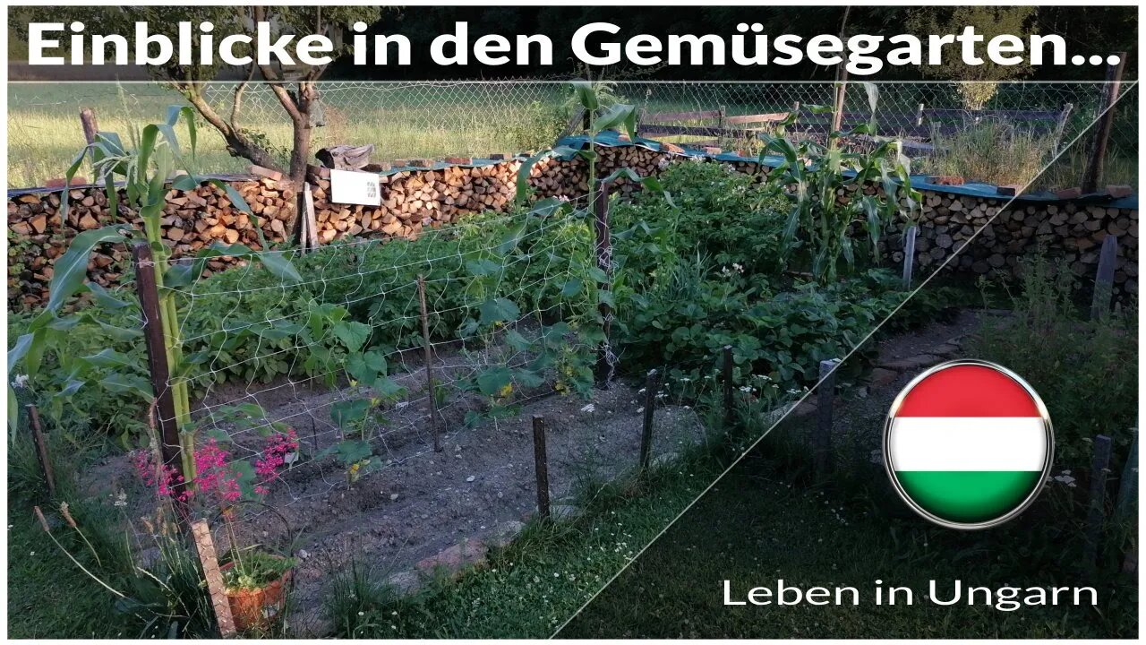 Einblicke in den Gemüsegarten - Leben in Ungarn