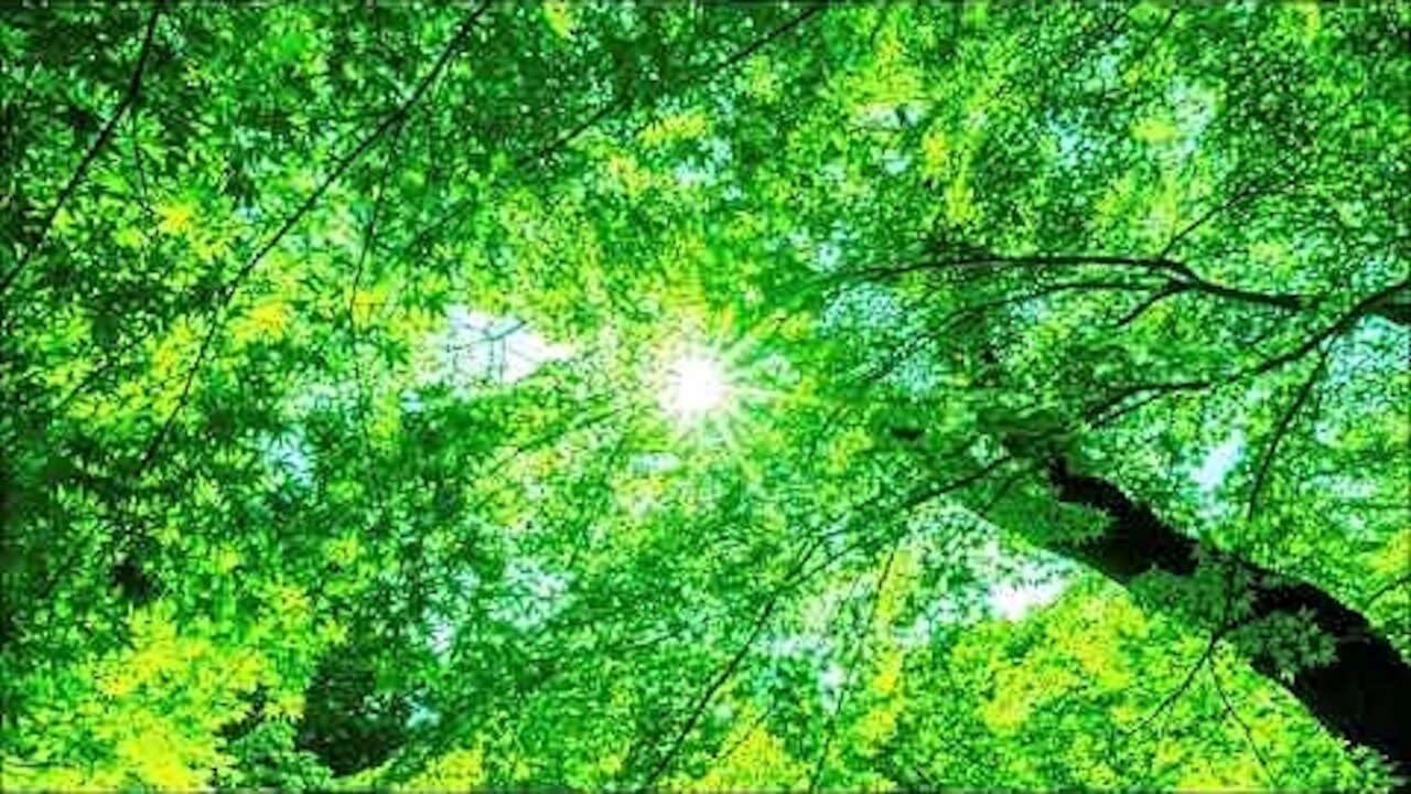 Ho’oponopono Relaxing Music/ Healing/ Wish Fulfilling/ Law of Attraction