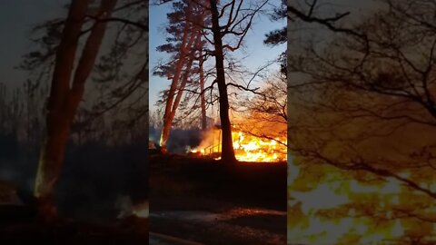 273145349 613010459673660 32569734214546642 n