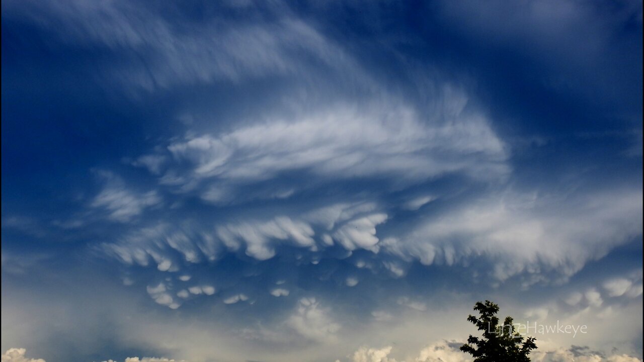 Crazy Cloud Cam | Image Set 058 | Cell