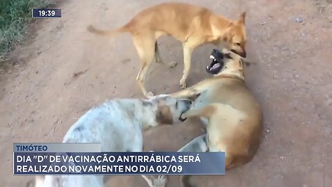 Timóteo: Dia 'D' de vacinação antirrábica será realizado novamente no dia 02 09.