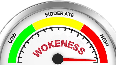 'A Sea Of Wokeness' - We need to STOP THEM!