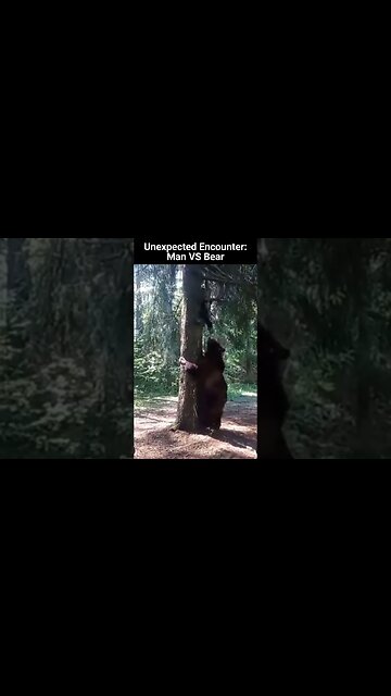 Unexpected Encounter - Man Climbing Tree to Escape Bear in Heart Pounding Moment
