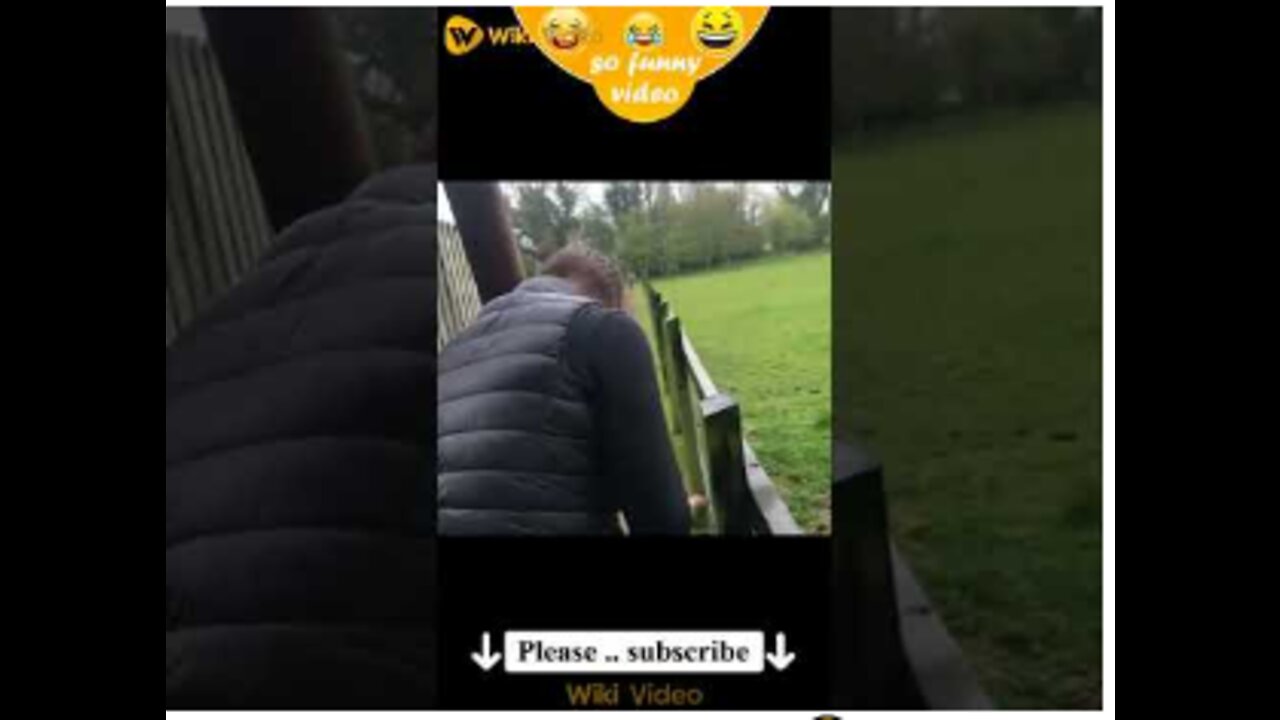 Funny Animal Videos 2022 π - Best Dogs And Cats Videos πΊπ