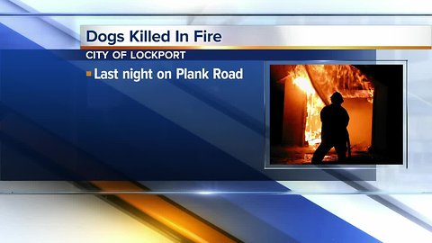 Fire investigators are trying to figure out what caused a fire that destroyed a home in the city of Lockport, and killed three dogs.