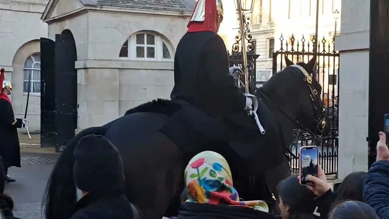The kings guard that does not give a damn #horseguardsparade