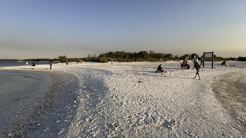 Apollo beach FL