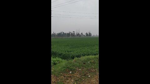 Uttar Pradesh Ke Khet