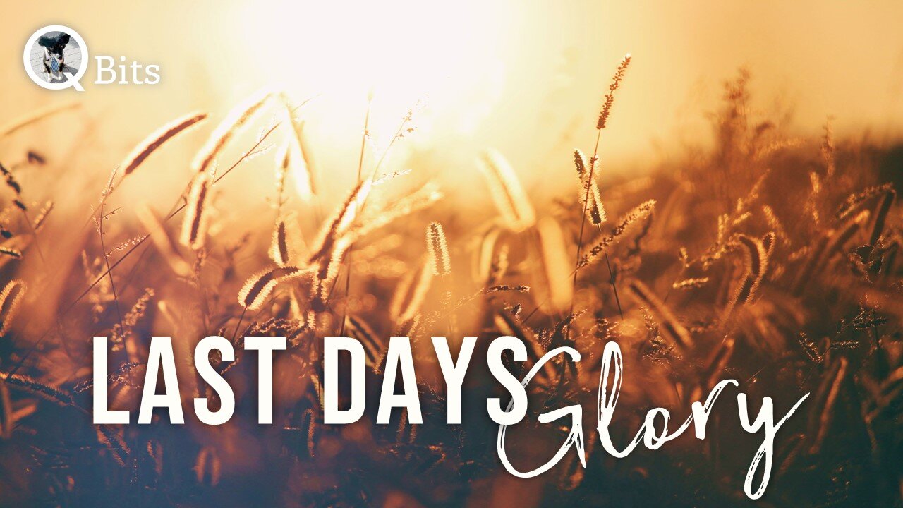 #513 // LAST DAY'S GLORY - LIVE