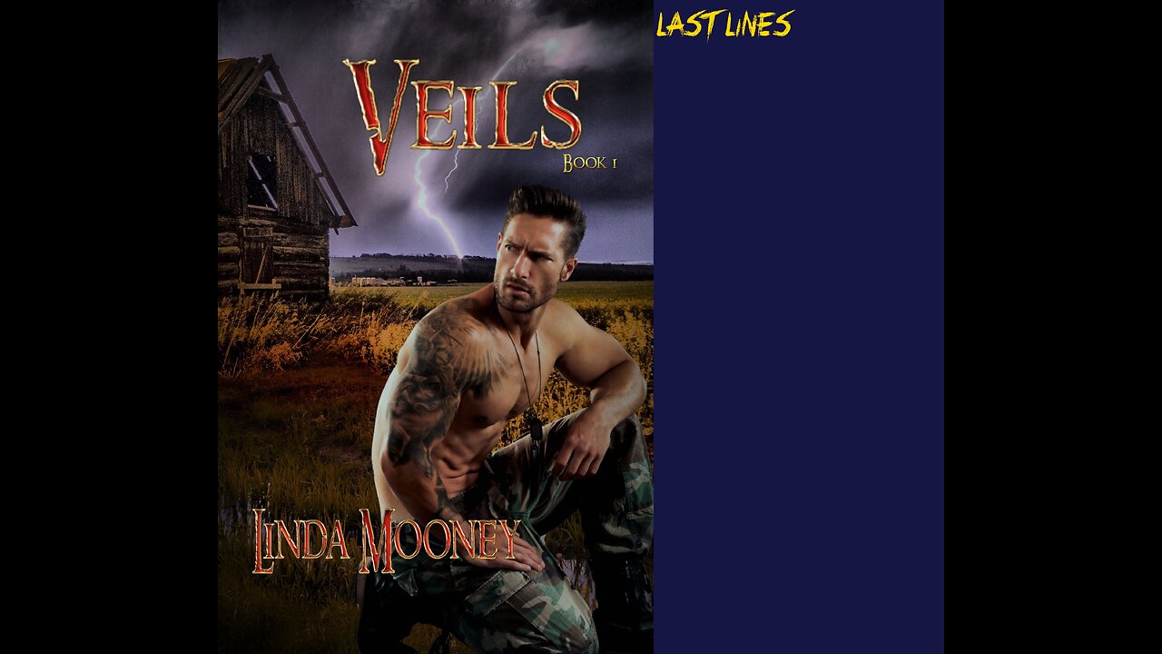 VEILS Book 1, a Sci-Fi /Time Travel Romance