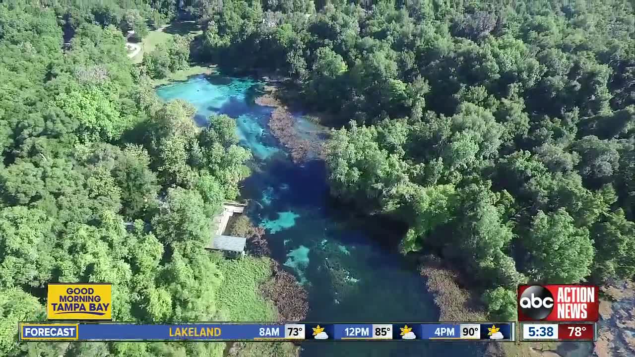 Rainbow Springs in Dunnellon is the perfect relaxing getaway