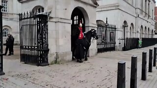 Horse bites the kings guard on the arm #horseguardsparade