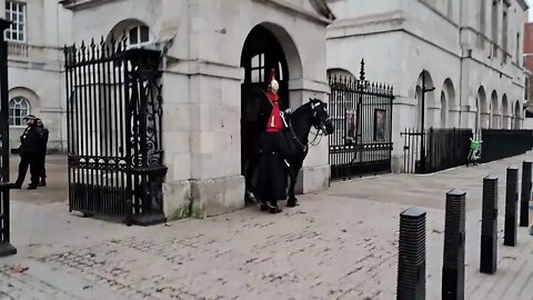 Horse bites the kings guard on the arm #horseguardsparade