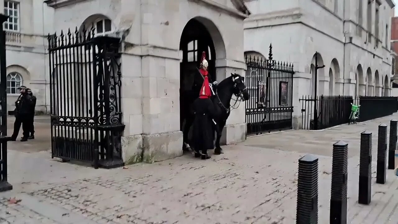 Horse bites the kings guard on the arm #horseguardsparade