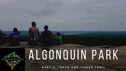 Algonquin Park Part 4 - Track and Tower Trail