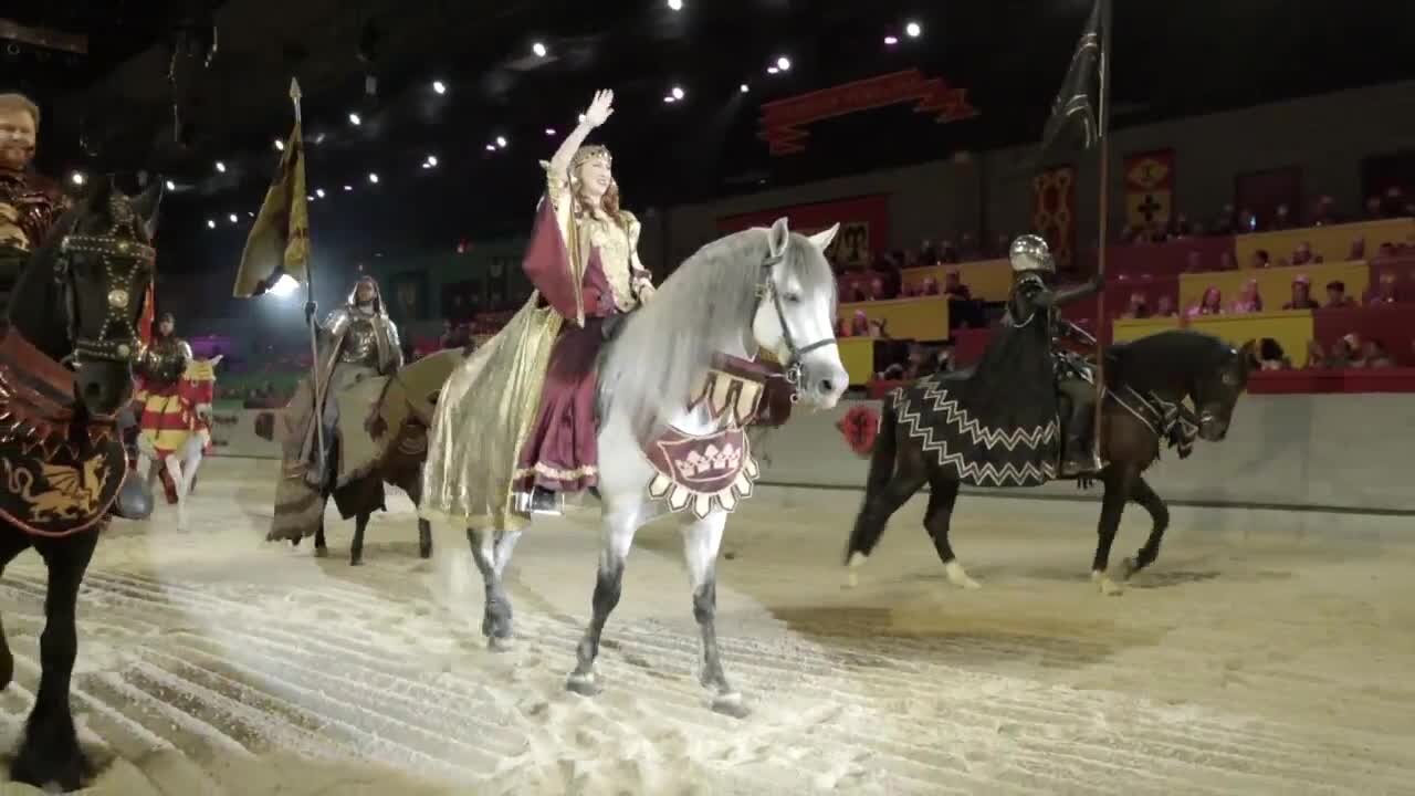 Medieval Times Dinner and Tournament