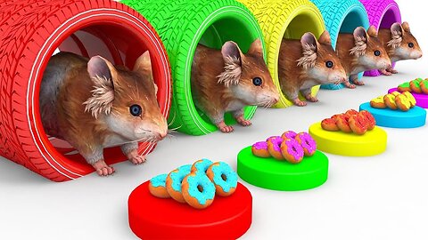 Con Chuột Nhắt Remix 🐭 Meo Meo Chú Mèo Con 😸 Nhạc Thiếu Nhi Sôi Động