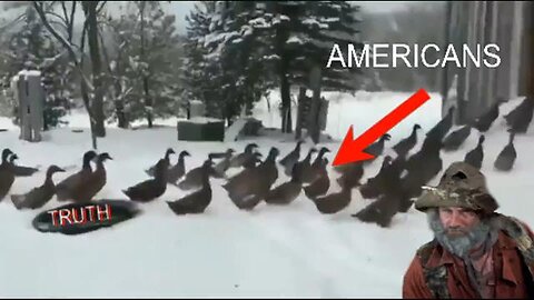 Americans and the truth explained in video meme.. Enjoy