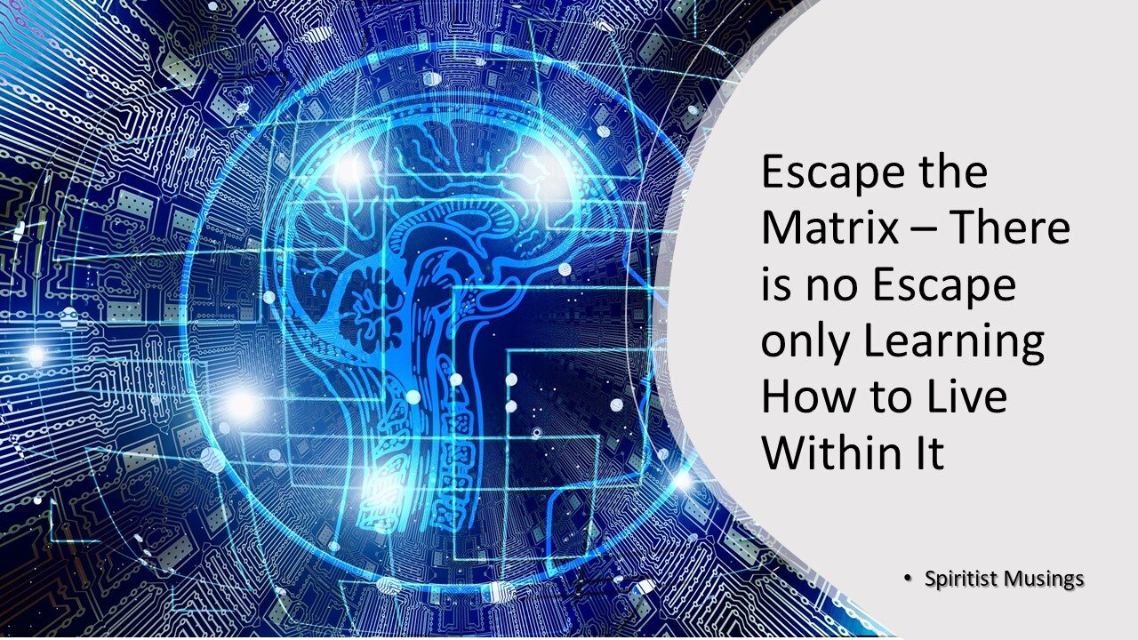 Escape the Matrix – There is no Escape only Learning How to Live Within It